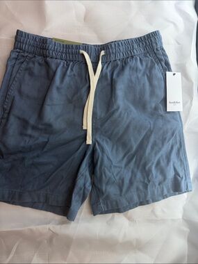 Goodfellow & Co Blue Drawstring Swim/Active Shorts